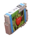 Kompatibel zu Epson 29XL Tinte schwarz 11,3 ml / Erdbeere